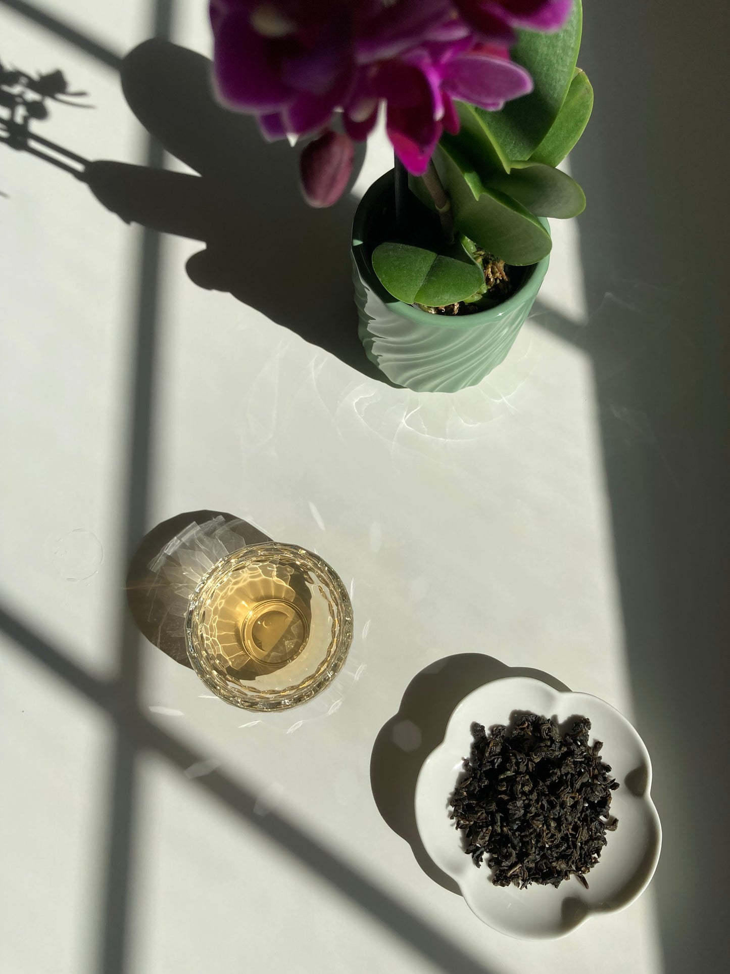 Tieguanyin | Iron Goddess of Mercy Oolong - Anniversary 2025 🇹🇼