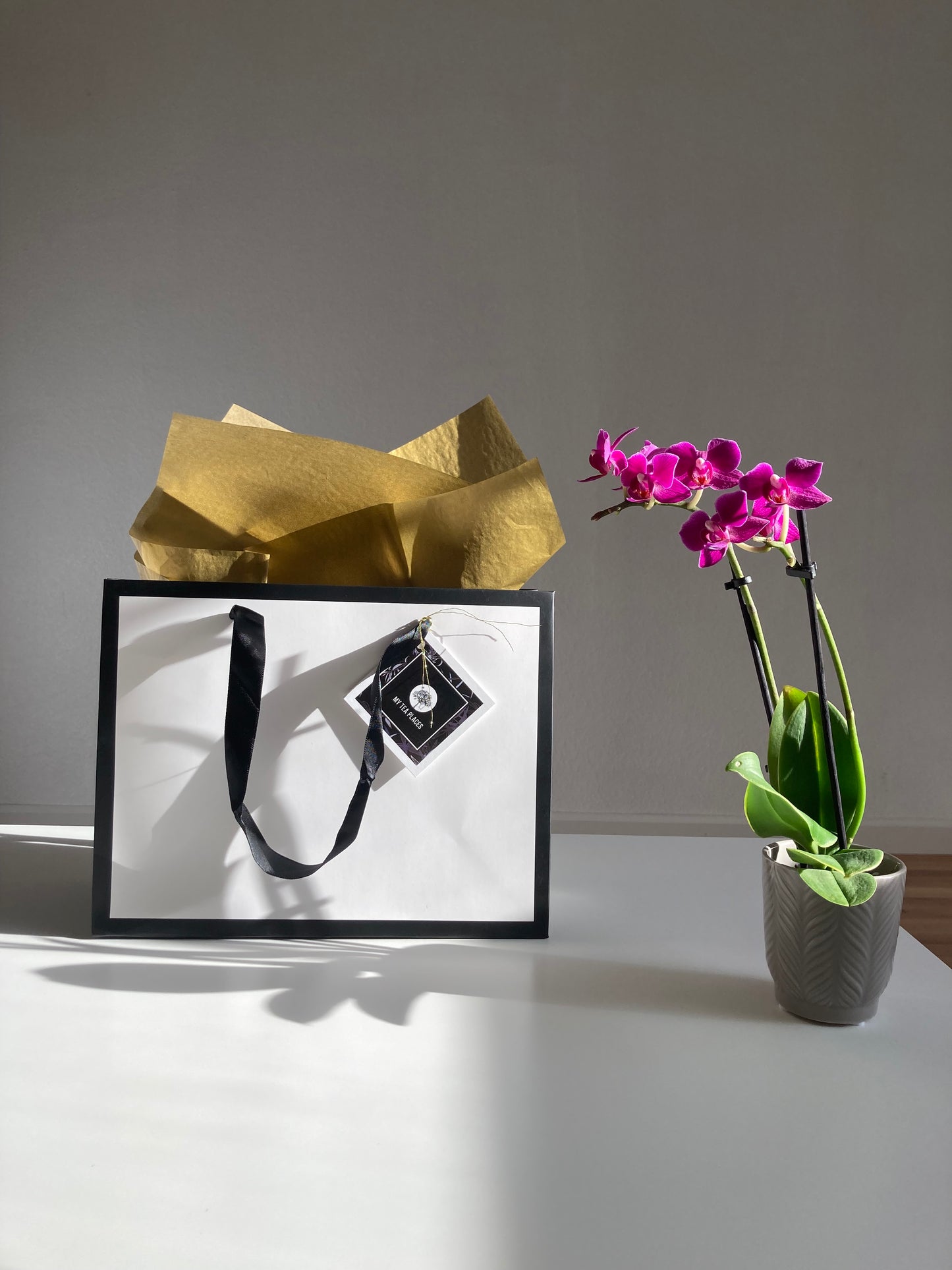 Black and White gift bag with tissue paper