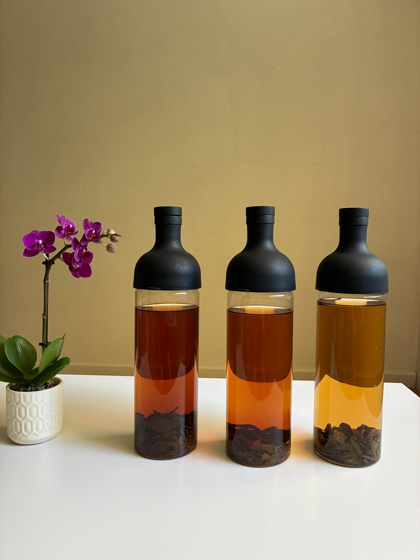 Kumaon Bundle 2026 - New Teas