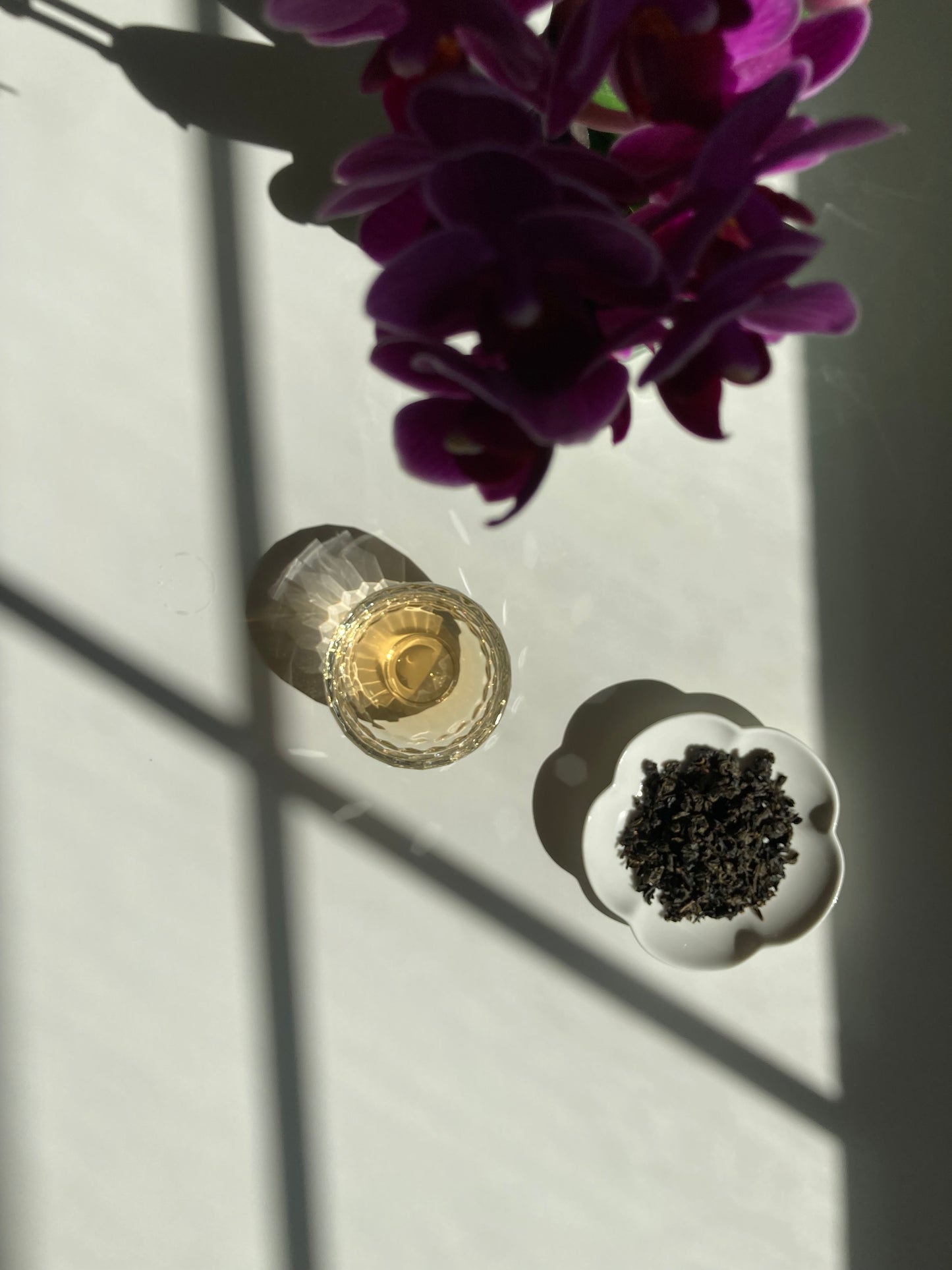 Tieguanyin | Iron Goddess of Mercy Oolong - Anniversary 2025 🇹🇼