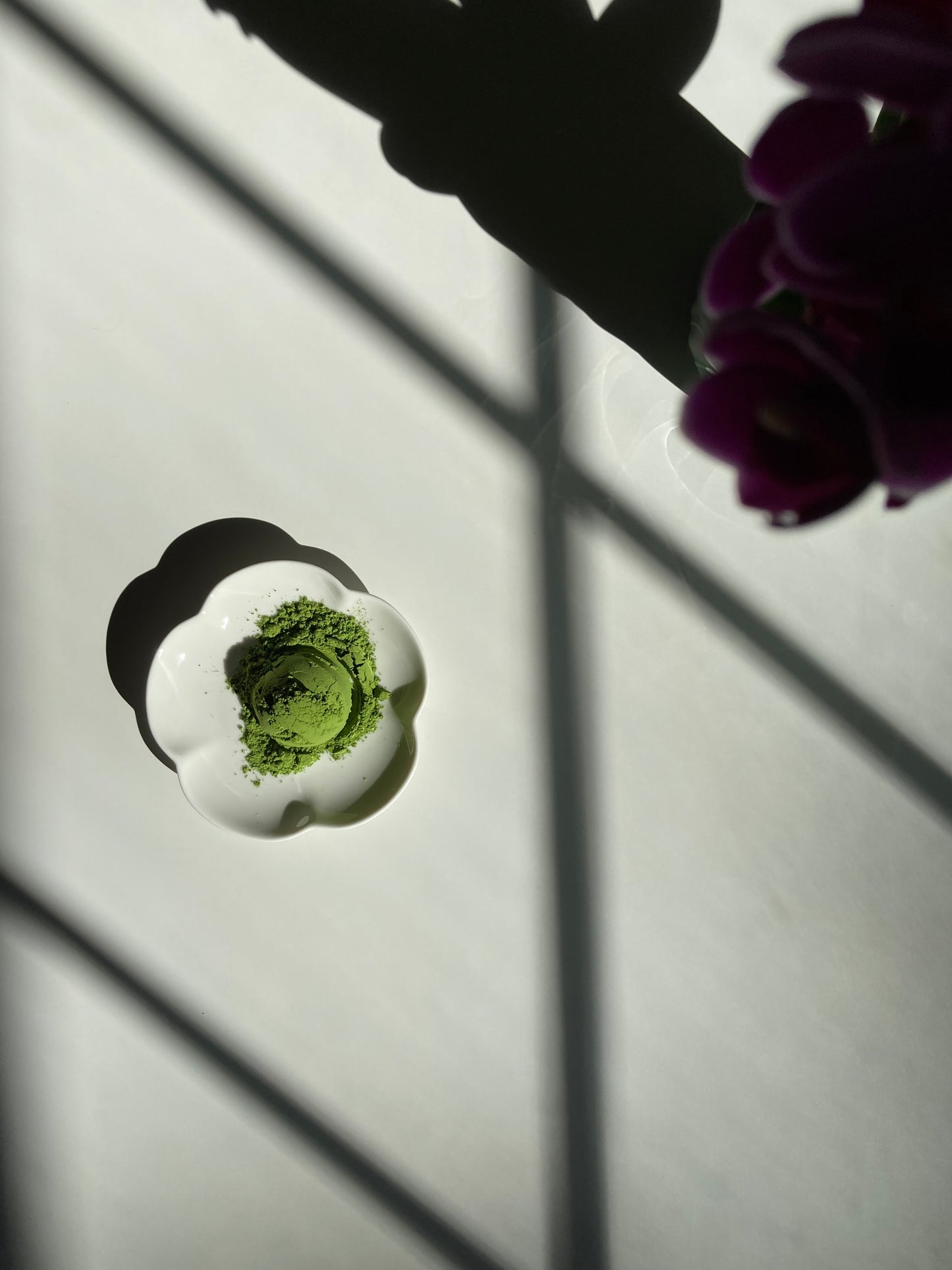 My Tea Places Matcha - Anniversary 2025 🇯🇵