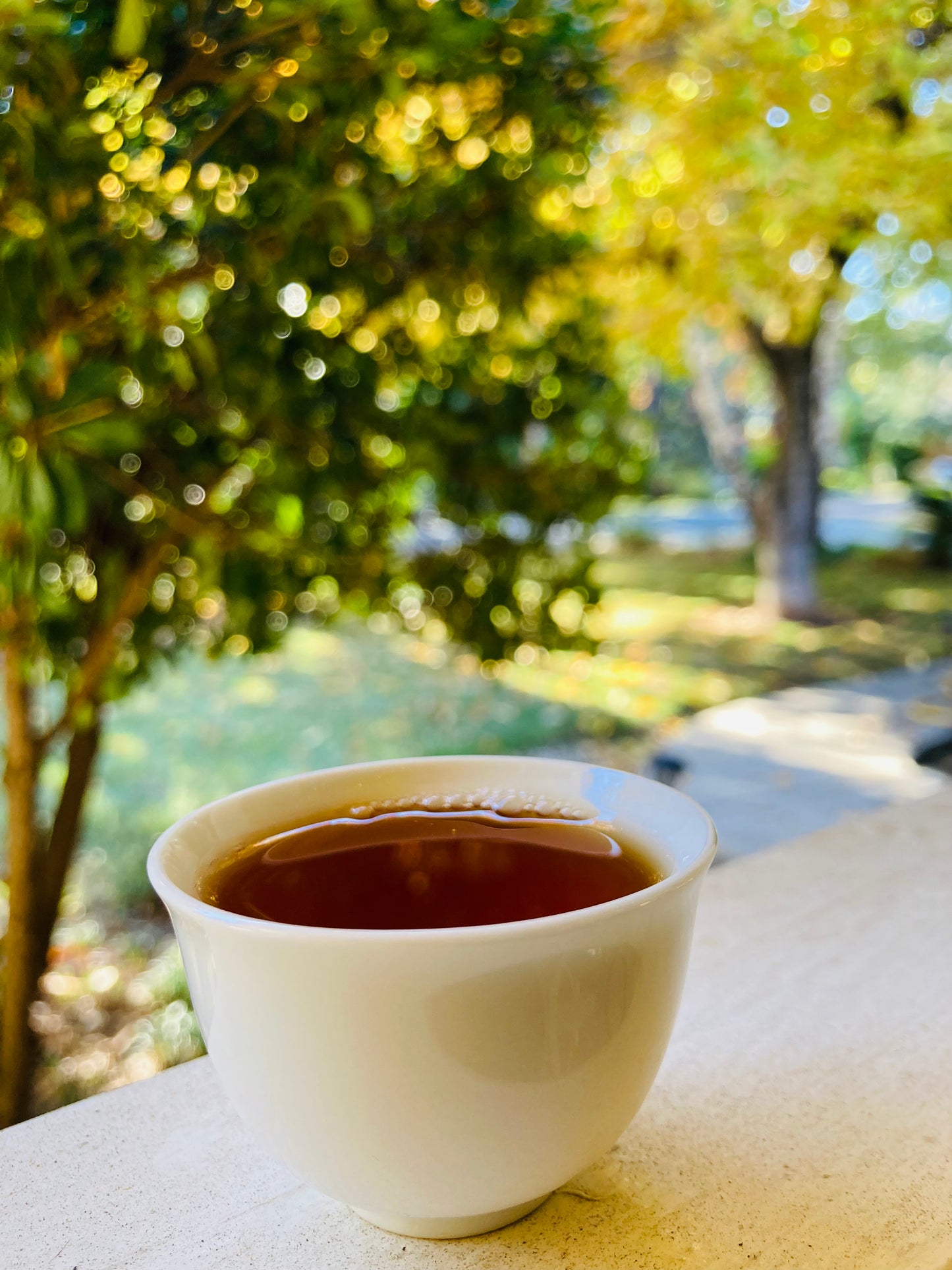 Nilgiri Momentum Black Tea - India 🇮🇳