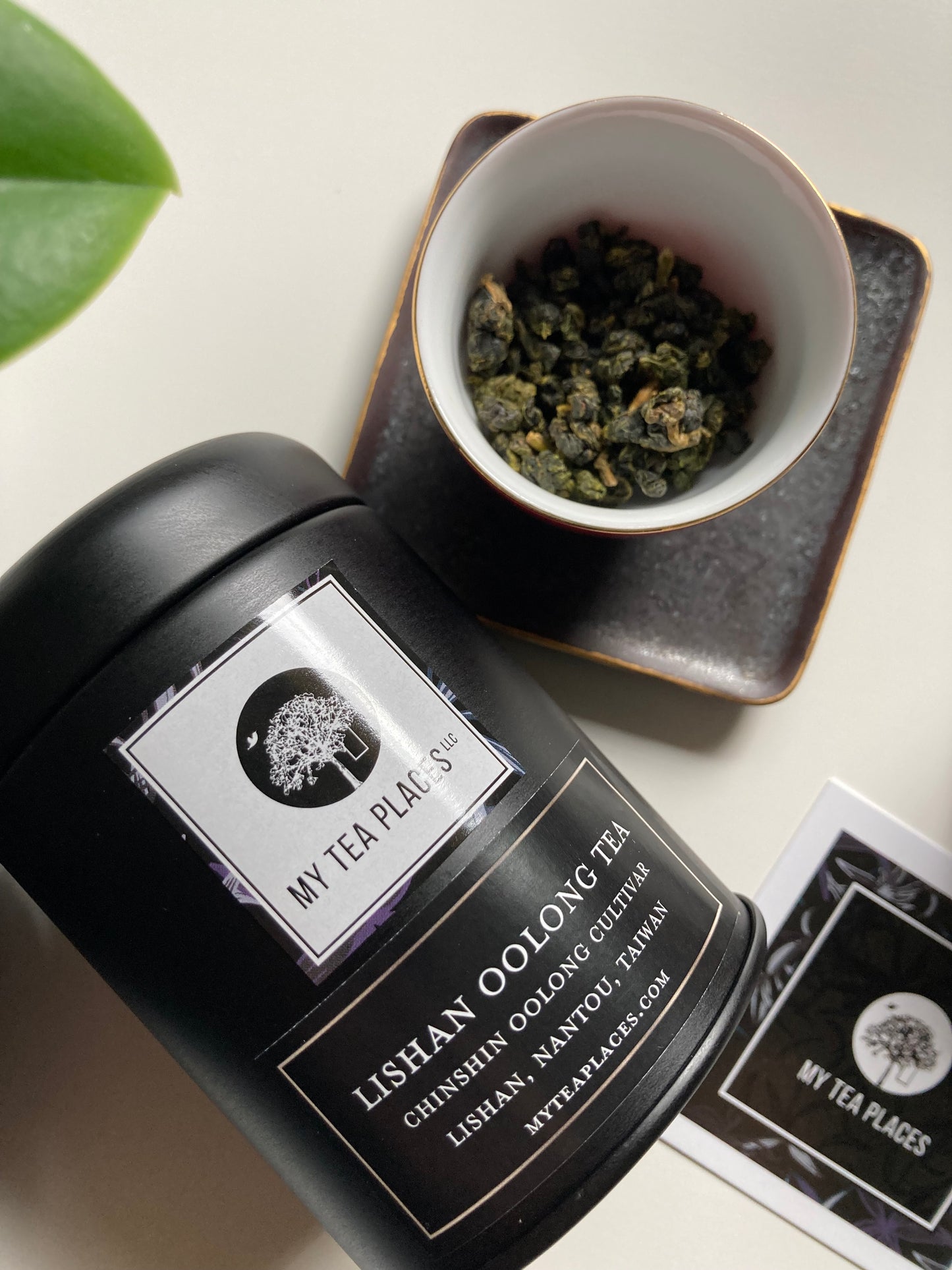 Lishan Oolong Tea (50g) - Taiwan Tea Sourcing Trip 🇹🇼