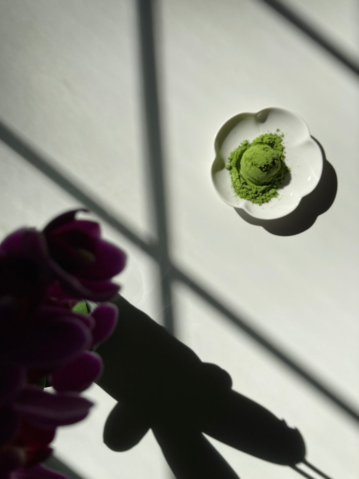 My Tea Places Matcha - Anniversary 2025 🇯🇵