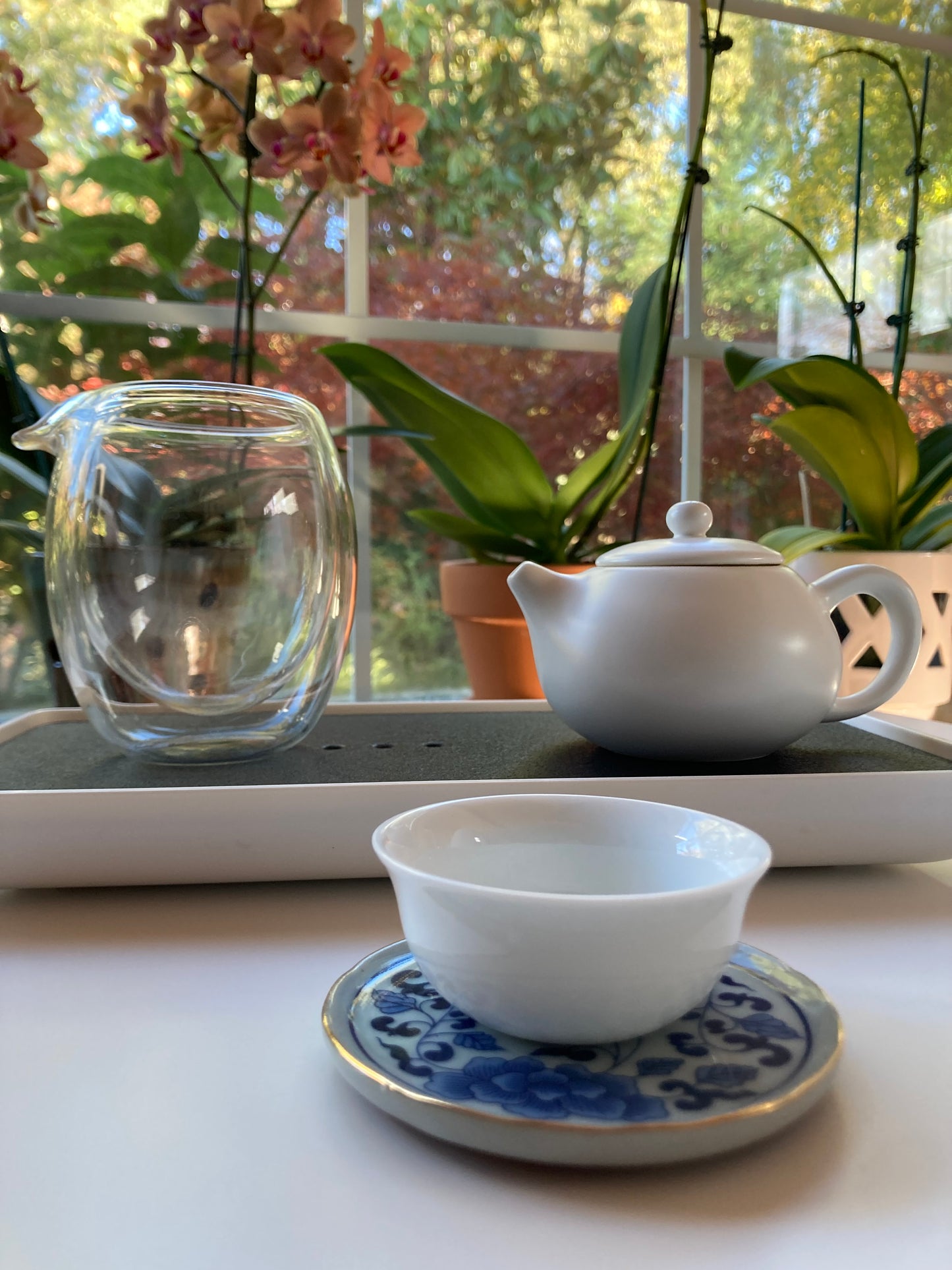 Wenshan Baozhong Competion Grade Spring 2025 - Anniversary 2025 🇹🇼