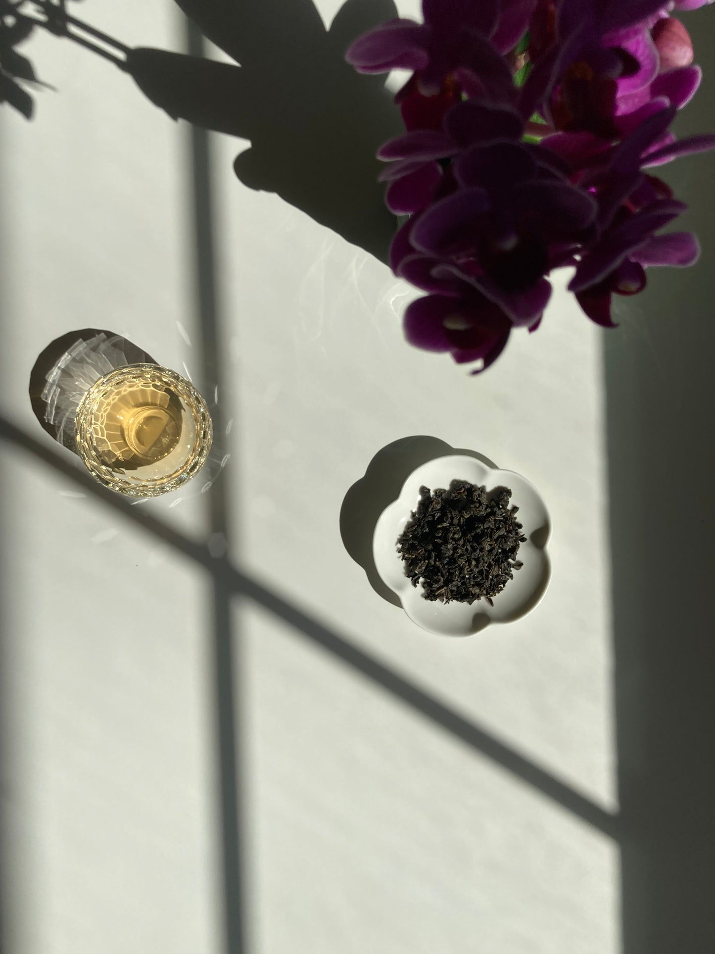 Tieguanyin | Iron Goddess of Mercy Oolong - Anniversary 2025 🇹🇼