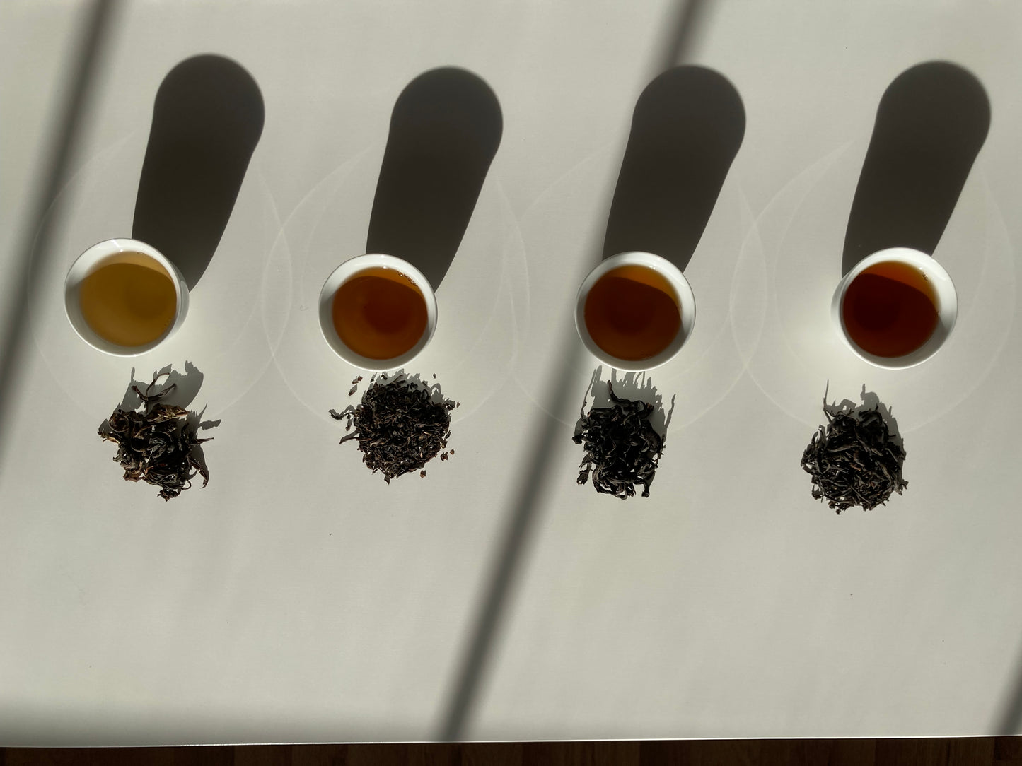 Tea Experiences
