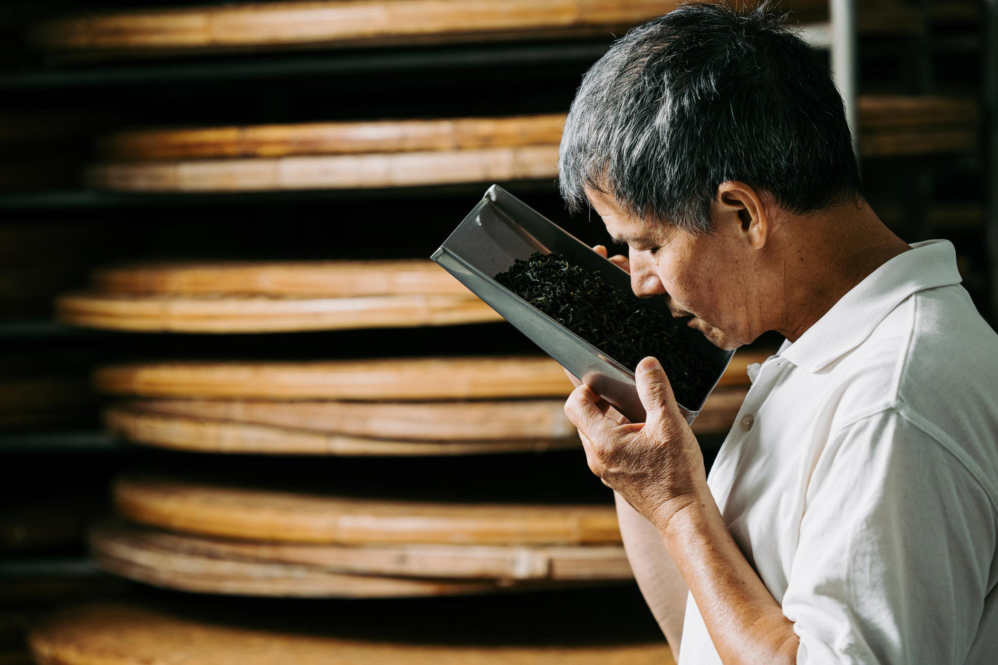 Tieguanyin | Iron Goddess of Mercy Oolong - Anniversary 2025 🇹🇼