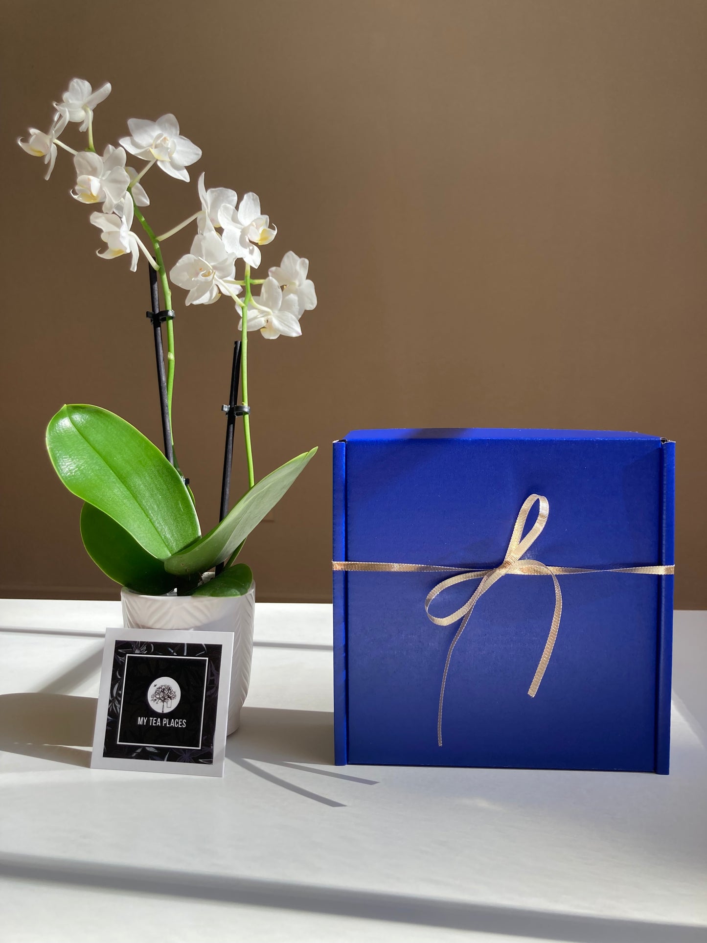 Blue Jay Tea Box 2025 (Preorder by 12/5)