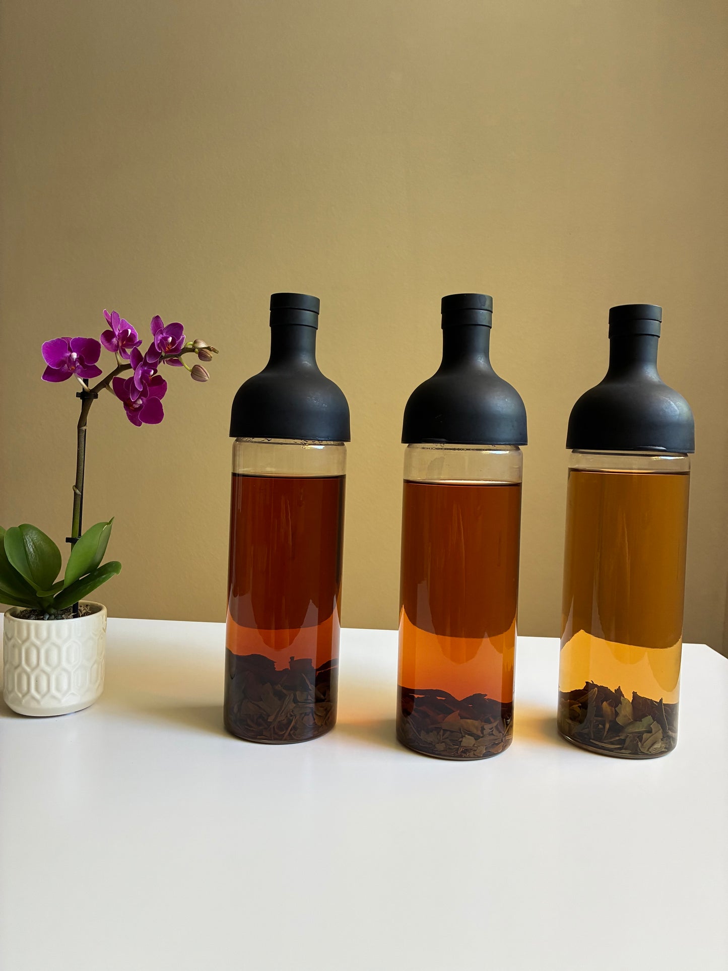 Kumaon Bundle 2026 - New Teas