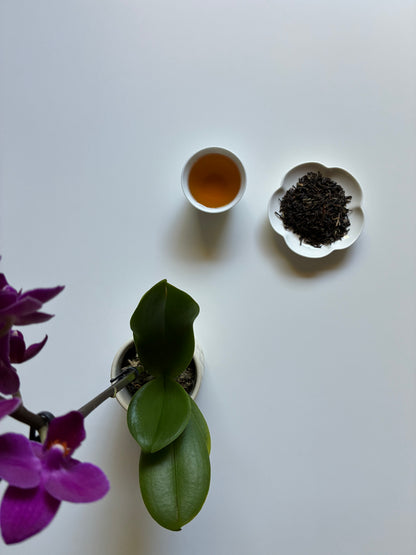First Flush Kumaon Black Tea 2026 (NEW)