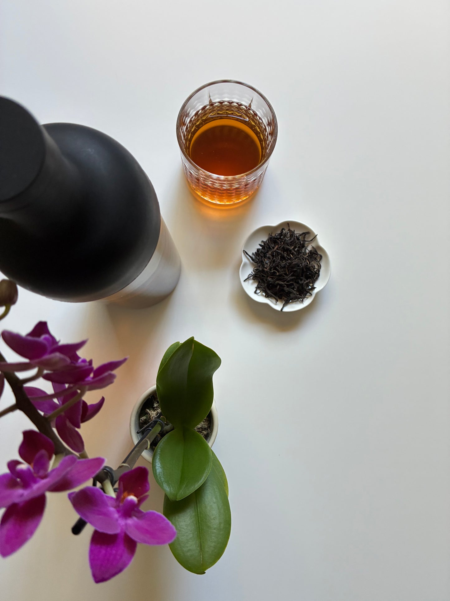 Kumaon Tiger 🐅 2026- Black Tea (NEW)