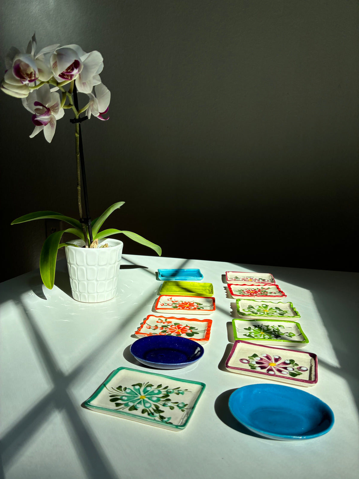 Anniversary Blue Jay Tea Box 2026 + Tea Coaster (New)