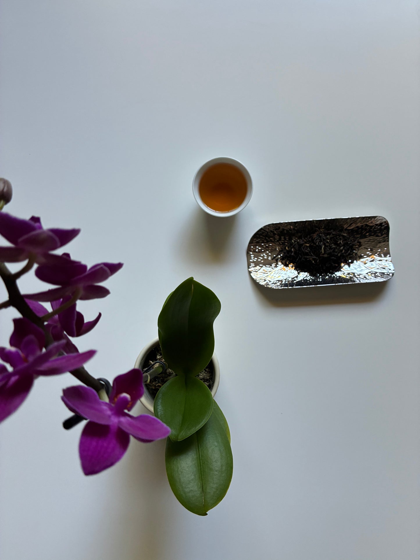 First Flush Kumaon Black Tea 2026 (NEW)