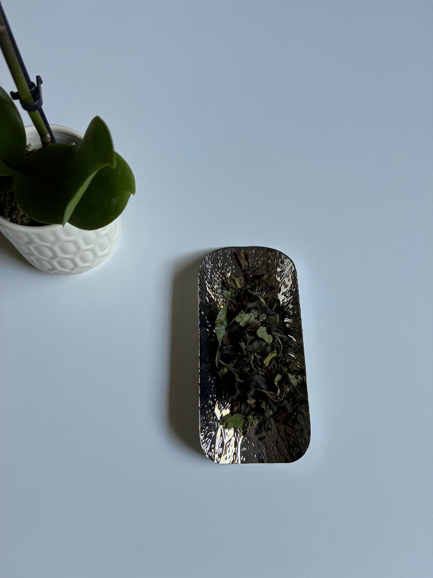 Kumaon White Tea 2026 (NEW)