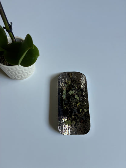 Kumaon White Tea 2026 (NEW)
