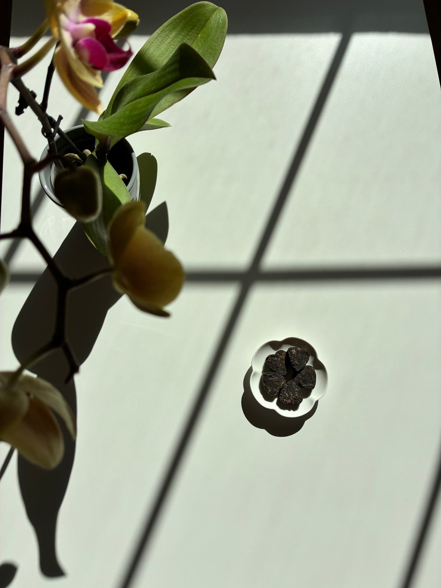 Heicha Rose Hearts / Dark Tea