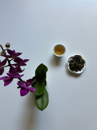 Kumaon White Tea 2026 (NEW)