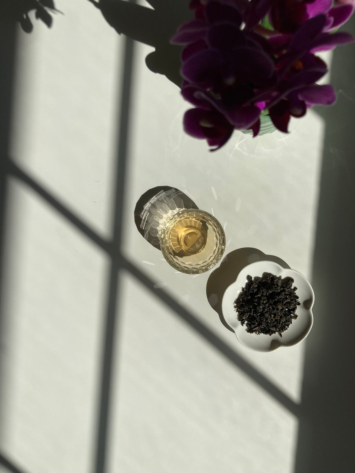 Tieguanyin | Iron Goddess of Mercy Oolong - Anniversary 2025 🇹🇼