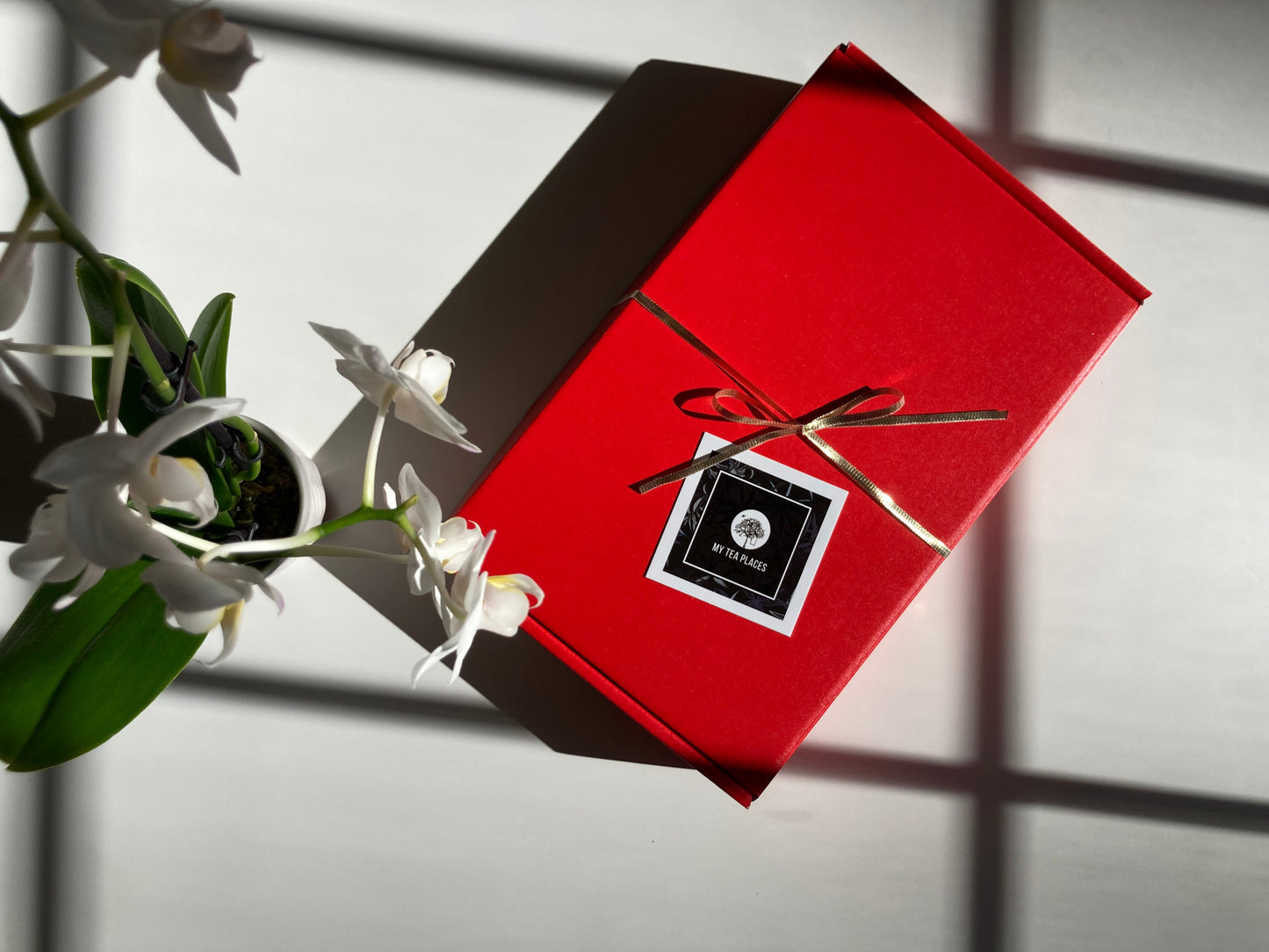 Lunar New Year Year of the Horse Tea Box – Mighty Horse Edition 🧧🐎 | 80g | Subscriber Exclusive