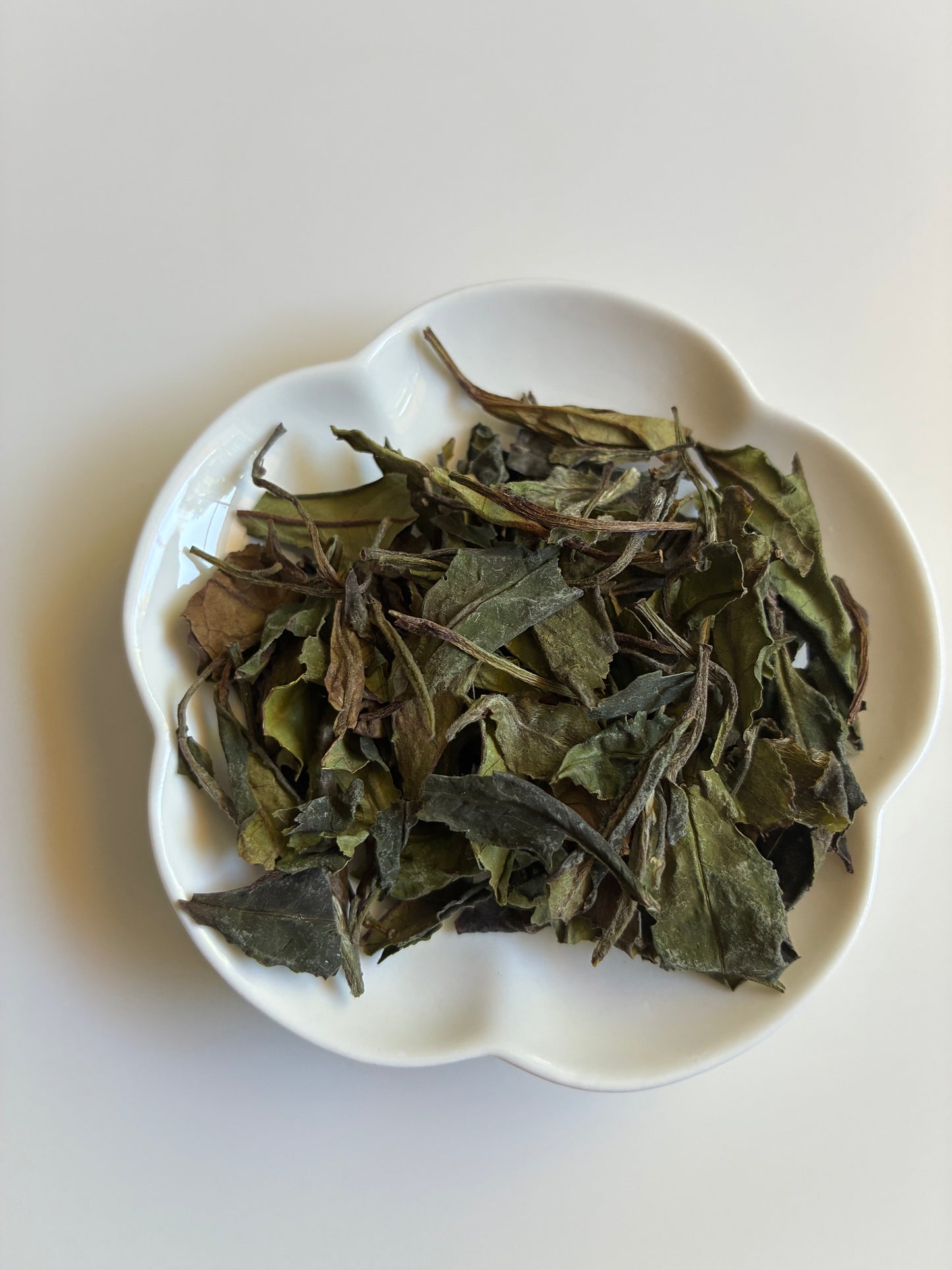 Kumaon White Tea 2026 (NEW)