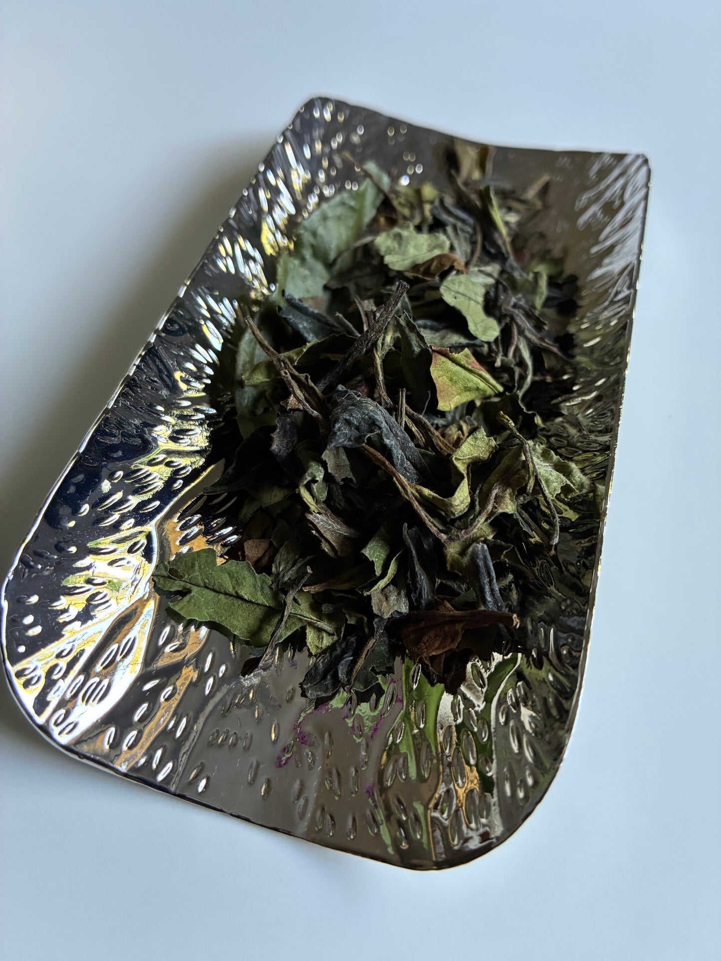Kumaon White Tea 2026 (NEW)