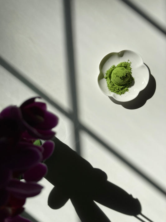 My Tea Places Matcha - Anniversary 2025 🇯🇵
