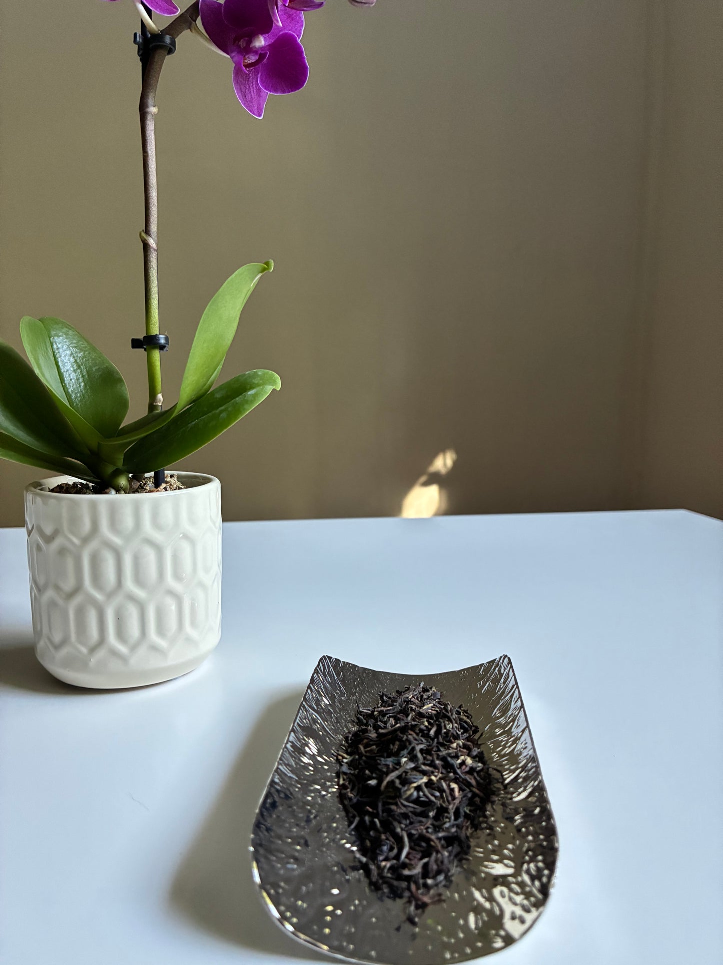 First Flush Kumaon Black Tea 2026 (NEW)