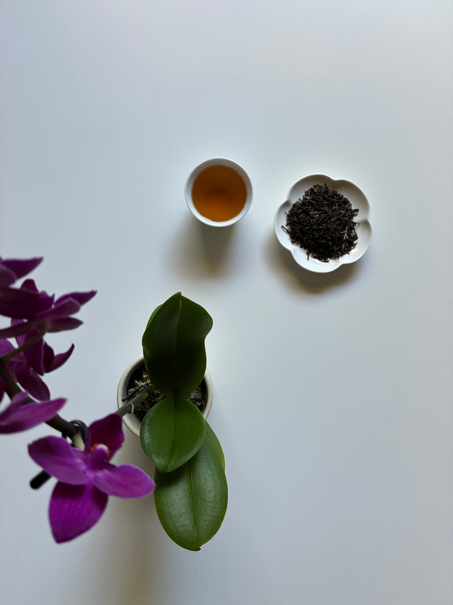 First Flush Kumaon Black Tea 2026 (NEW)