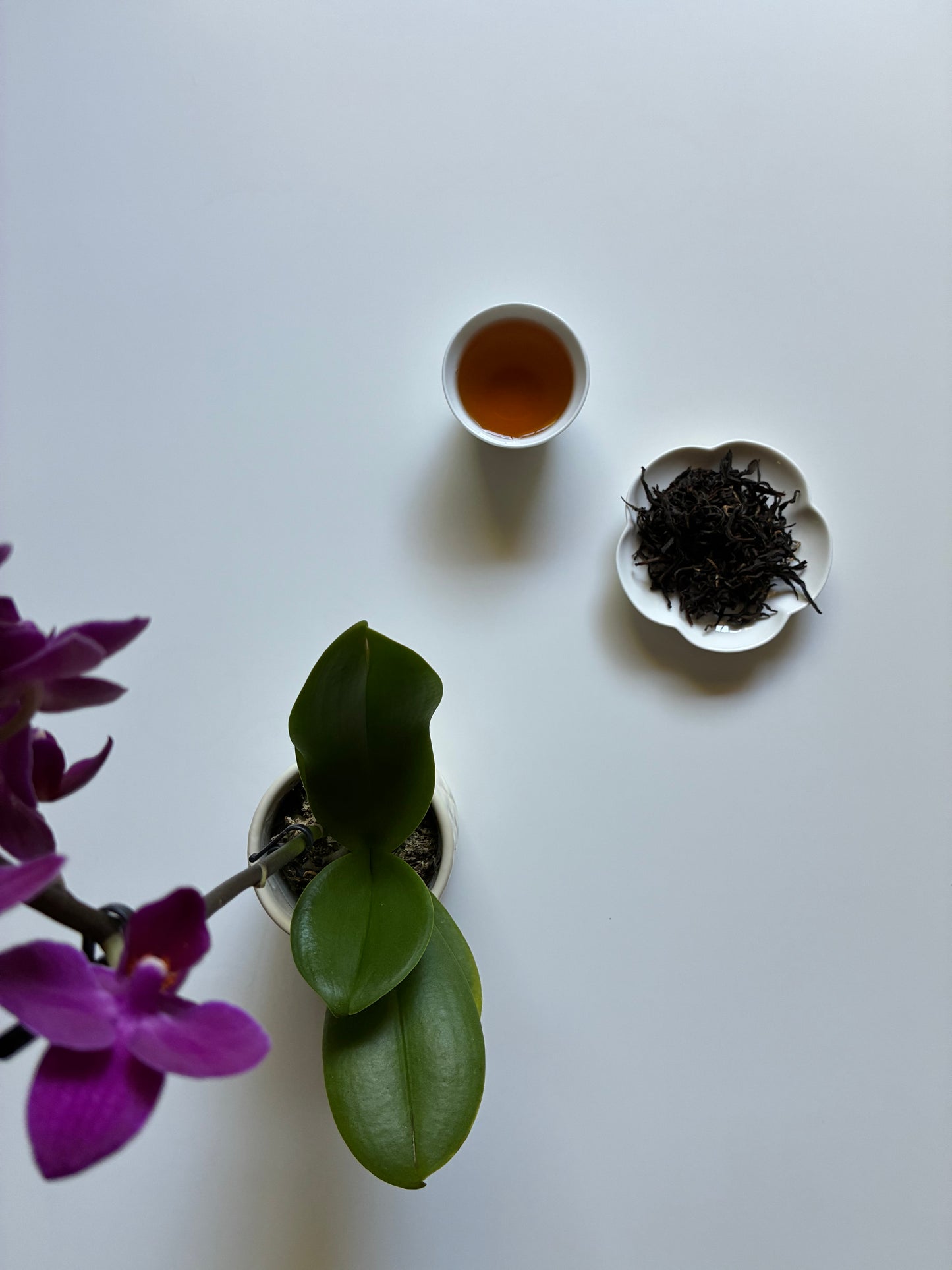 Kumaon Tiger 🐅 2026- Black Tea (NEW)
