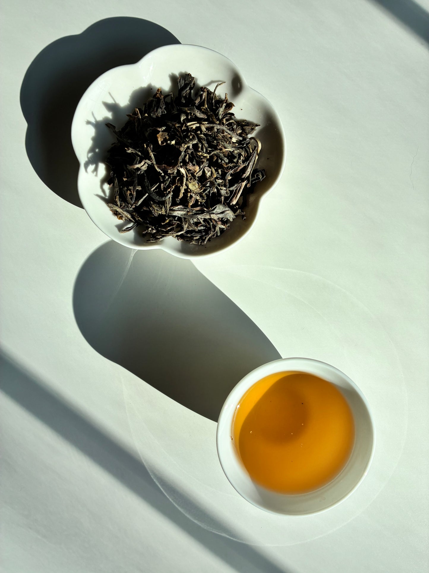 Jing Mai Gold Horse Deer (Sheng Puer)