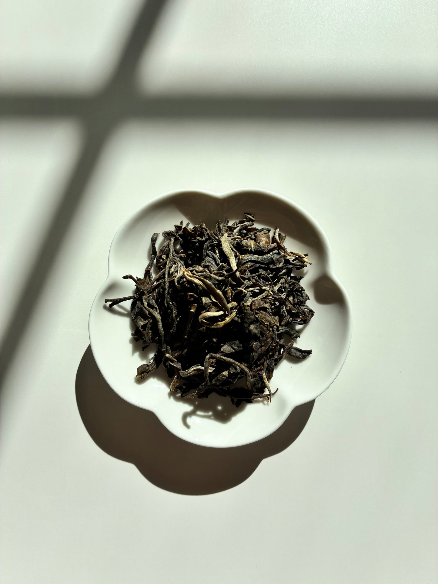 Jing Mai Gold Horse Deer (Sheng Puer)