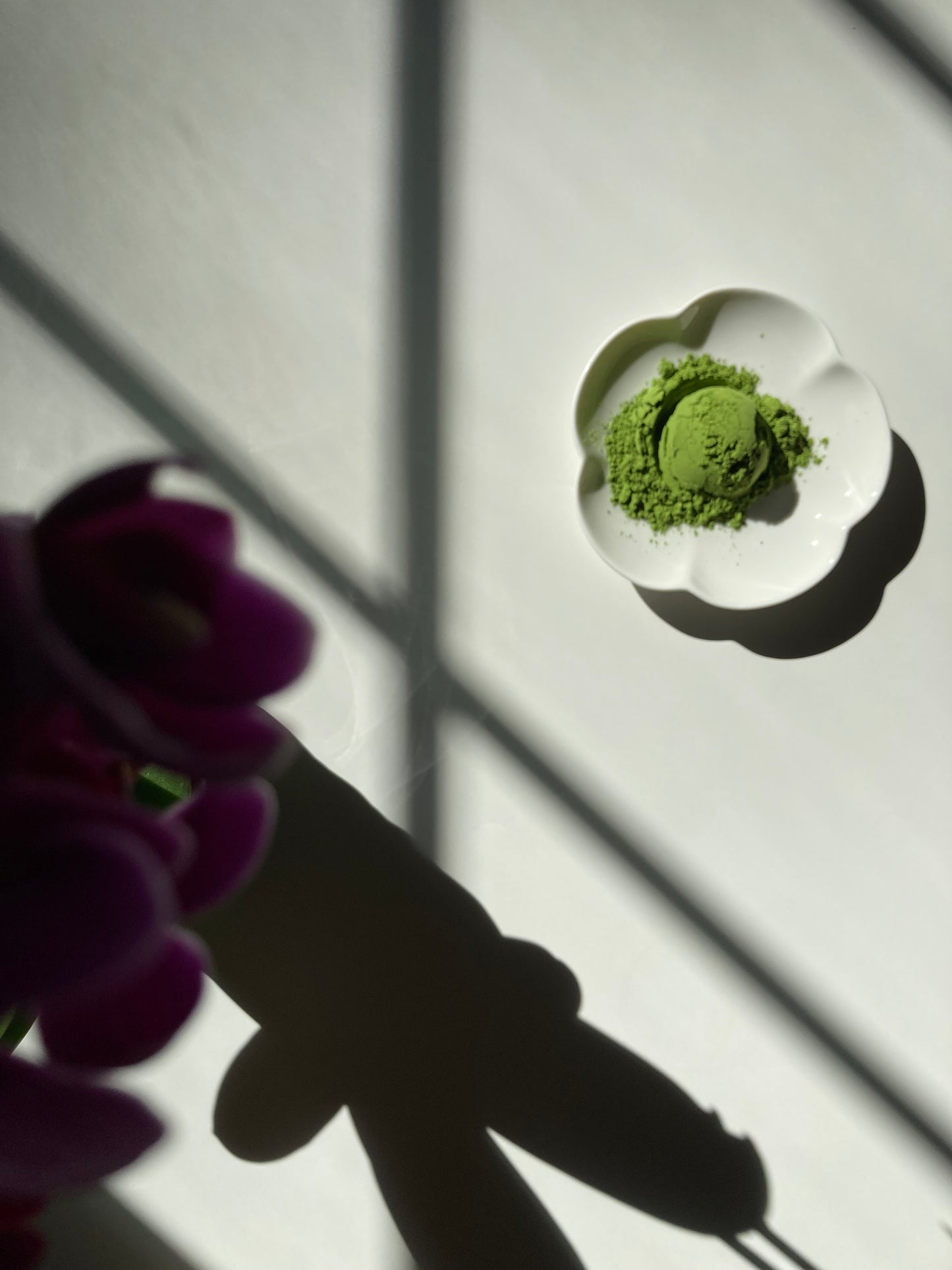 My Tea Places Matcha - Anniversary 2025 🇯🇵