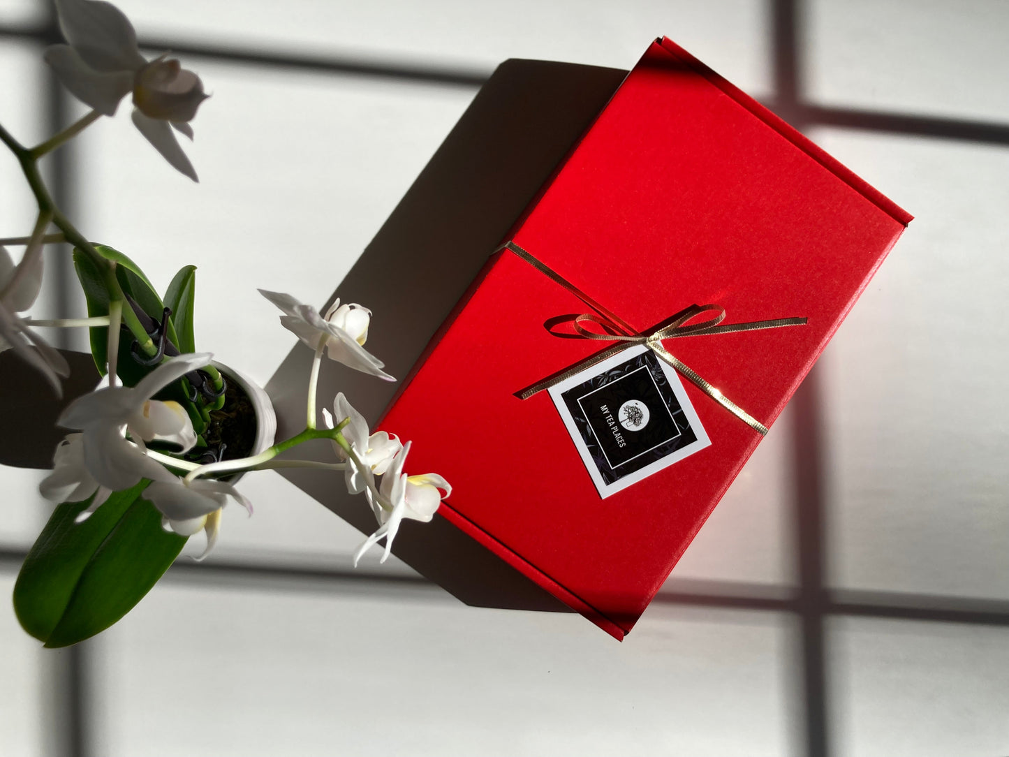 Lunar New Year Year of the Horse Tea Box – Mighty Horse Edition 🧧🐎 | 80g | Subscriber Exclusive