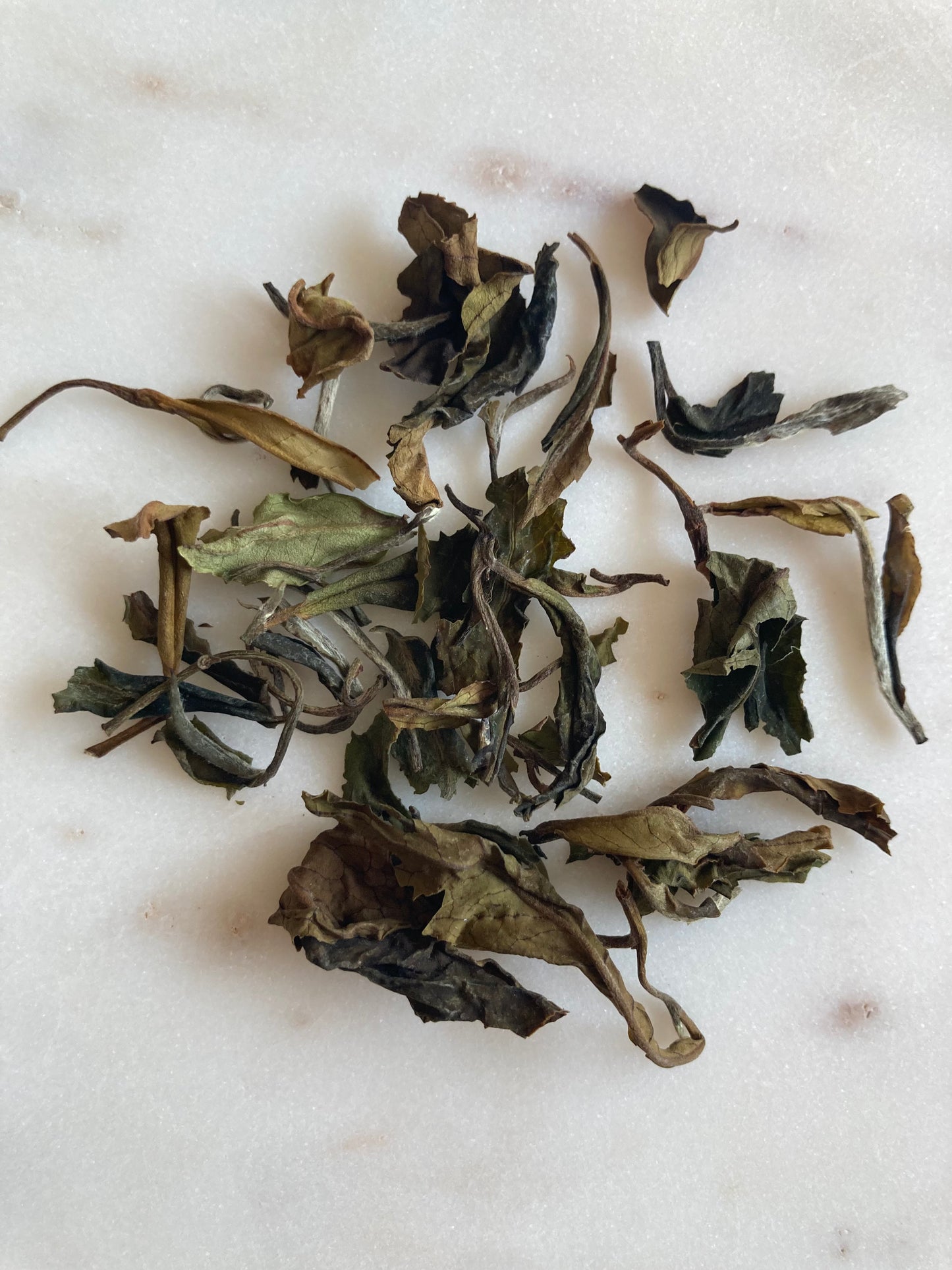 Kumaon White Tea - India