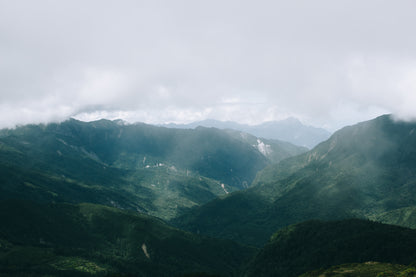 Majestic Mountain (Nantou) - Classic Sachets